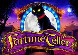 Fortune Teller screenshot